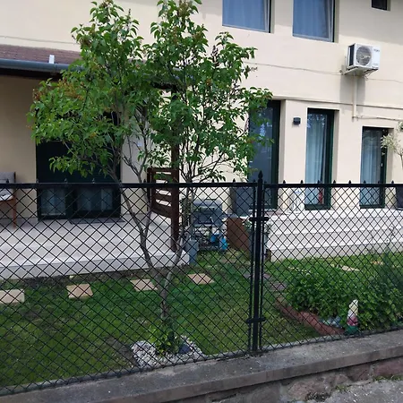 Joy シオーフォク